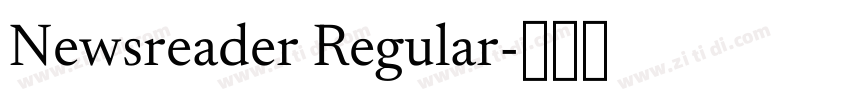 Newsreader Regular字体转换